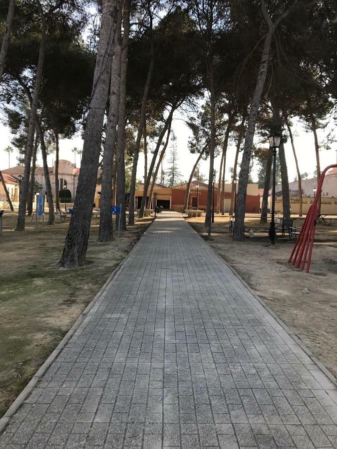 Apartmán Residential Jardin Del Pintor - La Casa Amarilla Jacarilla Exteriér fotografie